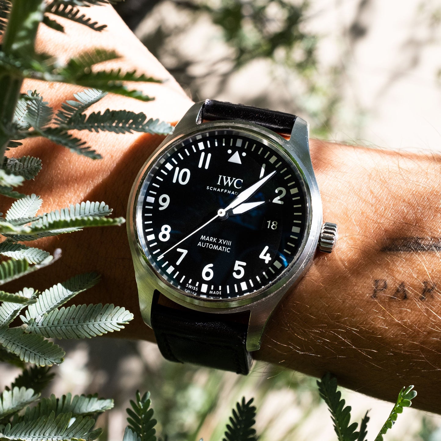 IWC Mark XVlll Pilot de 2016